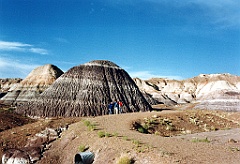 1997 - USA 143 (Petrified Forest National Park, AZ)